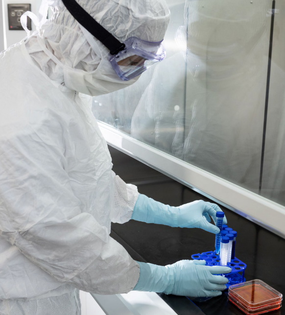 Endotoxins are a primary component of the outer membrane of gram-negative bacteria.